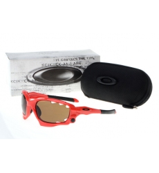 Oakley Glasses-0053