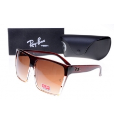 Ray-ban Glasses-1495